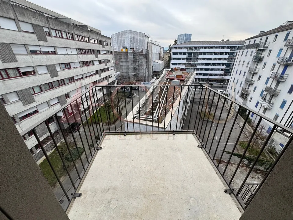 NEU - sehr schönes 5-Zimmer-Apartment in Carouge – Foto 10 von 13