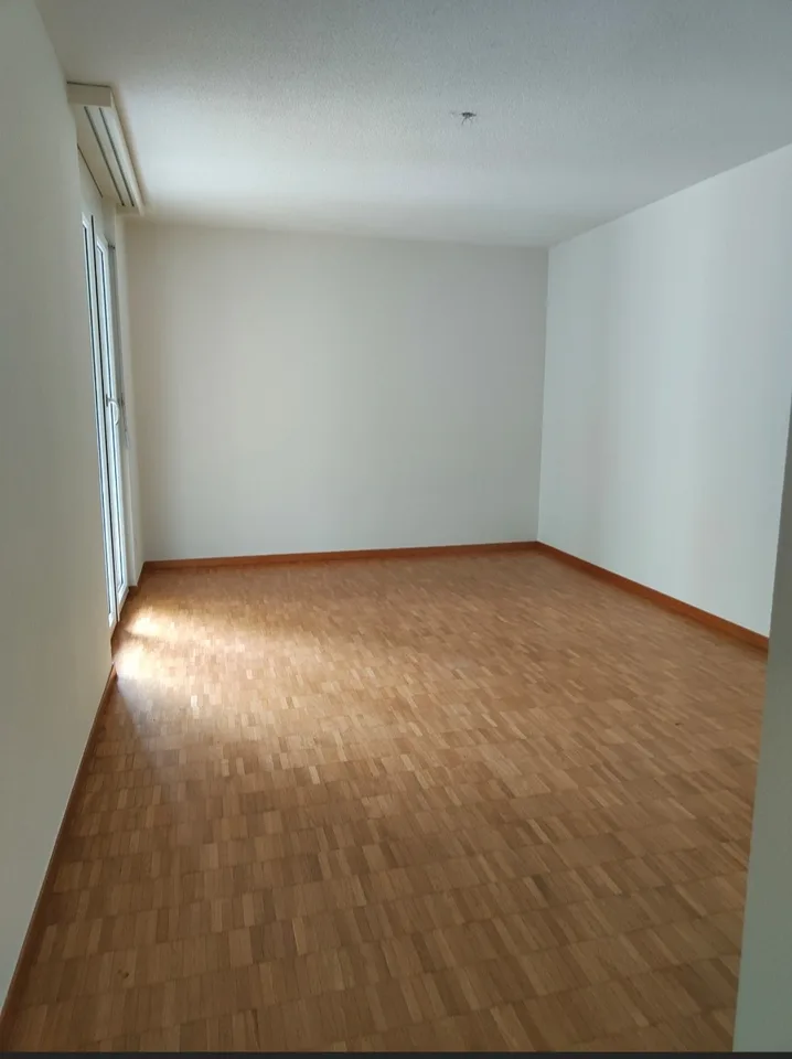 Gesucht: Einziehender für 4.5-Zimmer-Wohnung in Losone