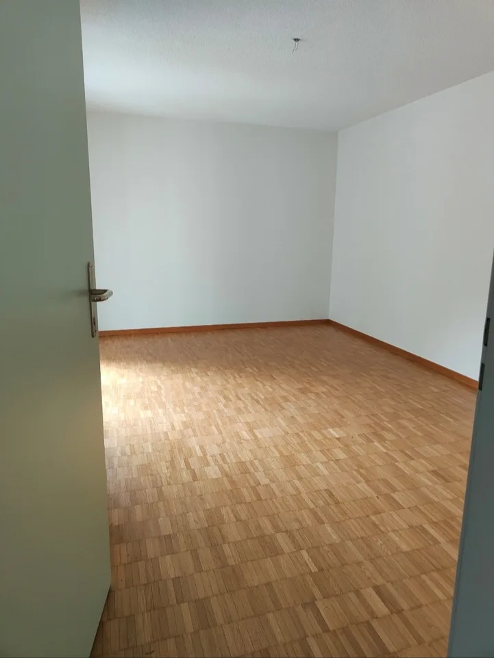 Gesucht: Einziehender für 4.5-Zimmer-Wohnung in Losone