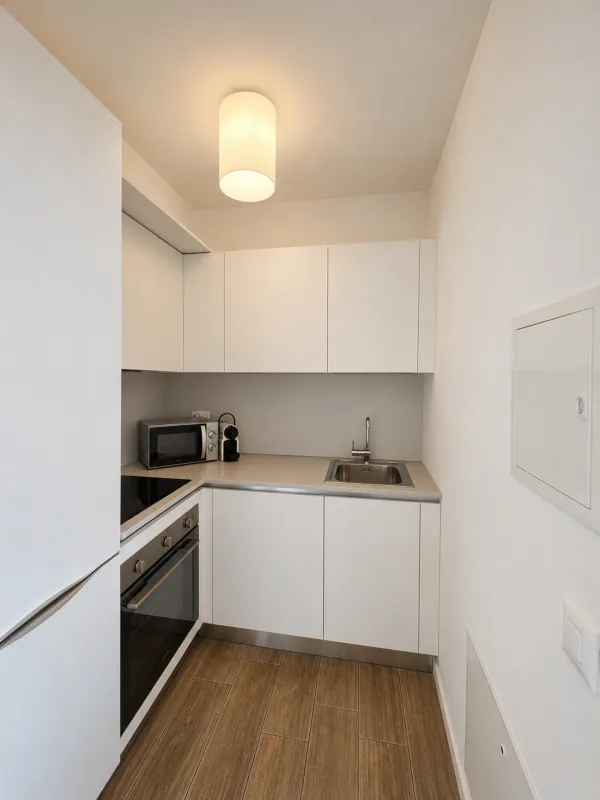 Moderno 2.5 locali ammobiliati con balcone