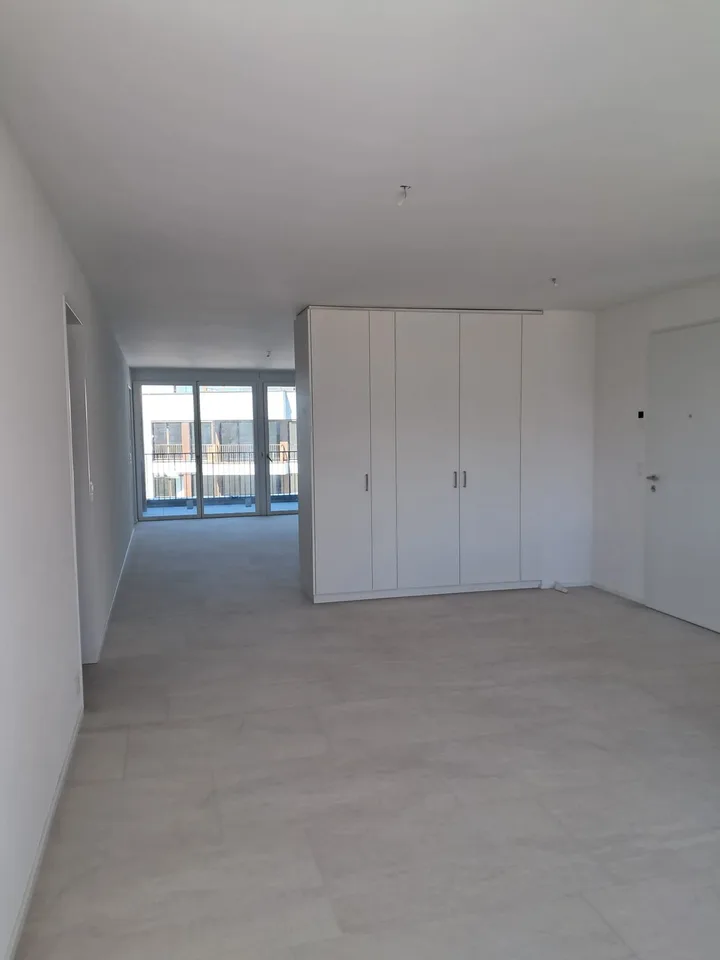 Premier location : Appartement moderne 4,5 pièces à Hagenbüel, Illnau