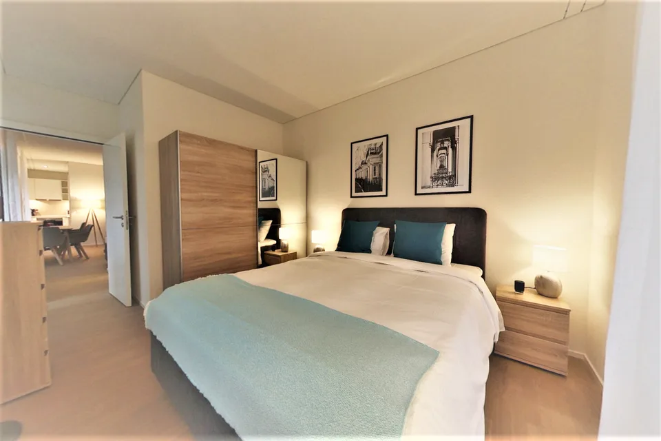 Large and Comfortable 1-Bed Apartment City Center