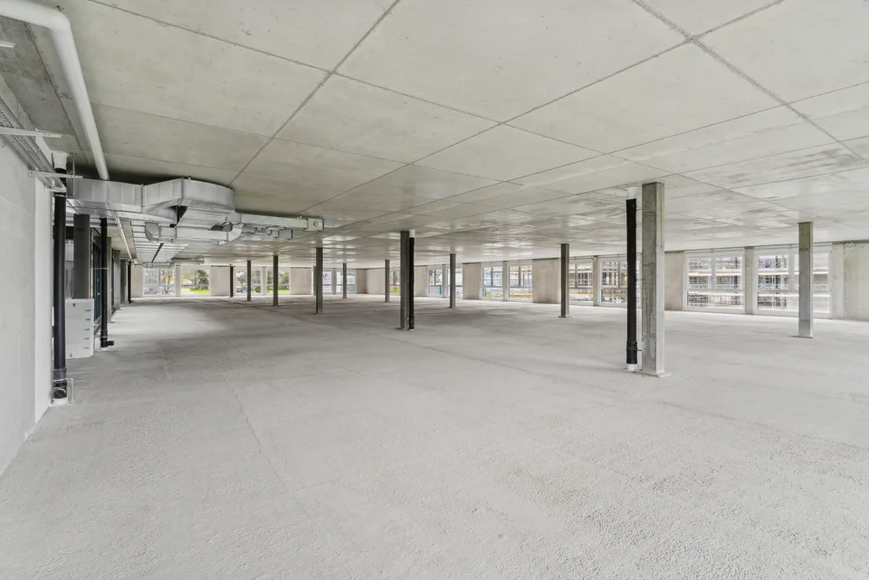 Neu in Gland - Große Gewerbefläche - industriell / 1'200m2