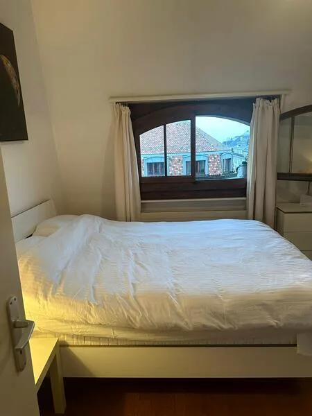 APPARTEMENT MANSARDÉ 2½ PIÈCES À GENÈVE - CENTRE, MEUBLÉ, DURÉE DÉTERM – foto 7 di 18