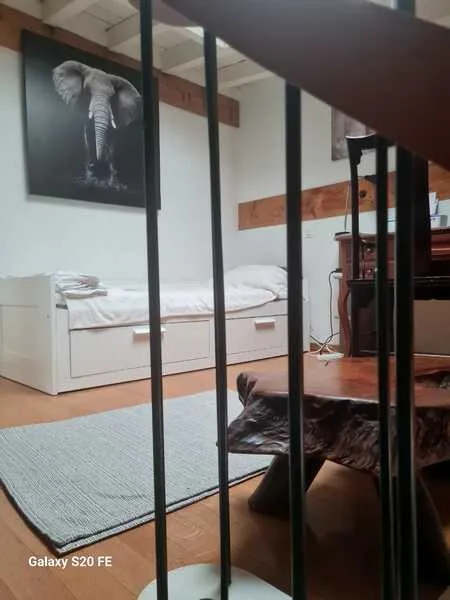 APPARTEMENT MANSARDÉ 2½ PIÈCES À GENÈVE - CENTRE, MEUBLÉ, DURÉE DÉTERM – foto 6 di 18