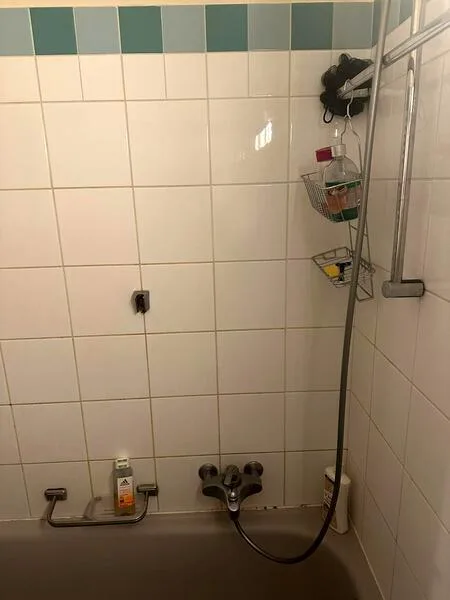APPARTEMENT MANSARDÉ 2½ PIÈCES À GENÈVE - CENTRE, MEUBLÉ, DURÉE DÉTERM – foto 9 di 18