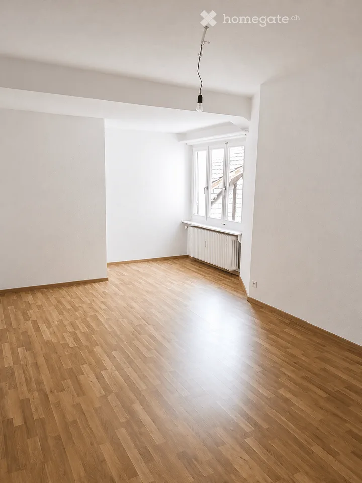 Spacious 4.5-room apartment in quiet Beringen