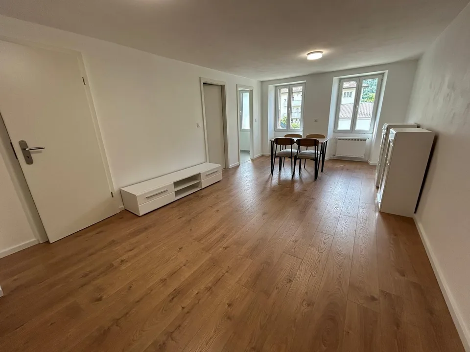 NEU – 5,5 Zimmer und Studio für Airbnb oder selbstständige Tätigkeit
