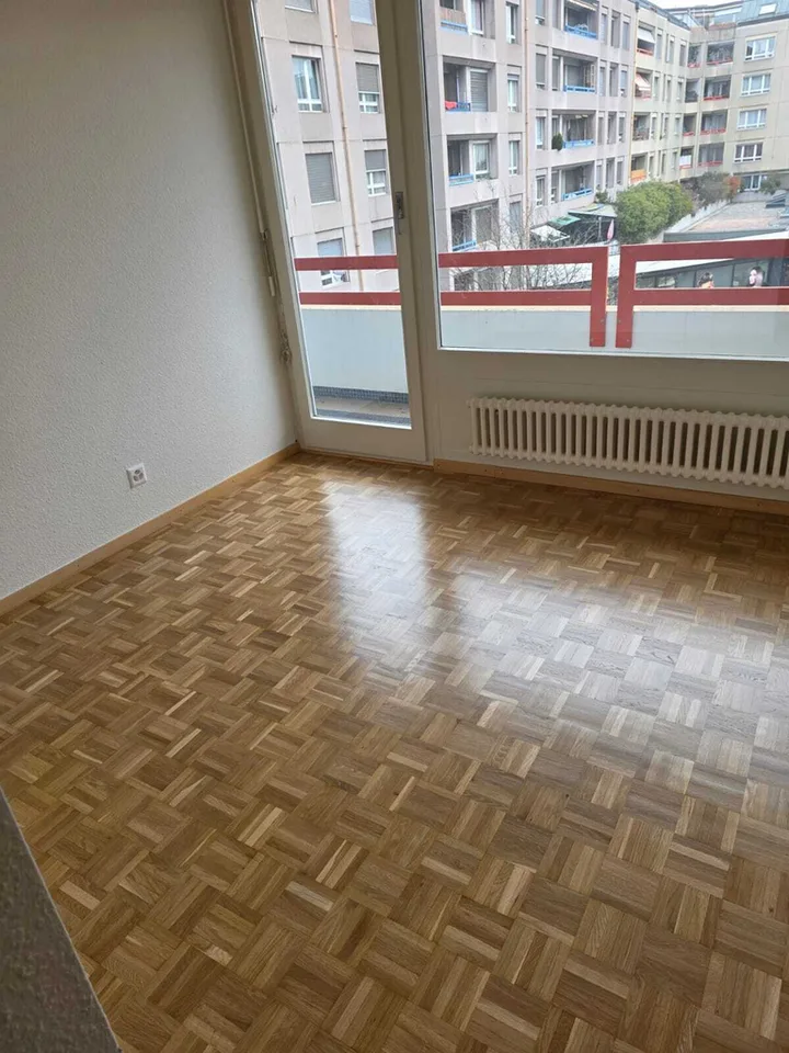 Carouge - 6 rooms on the 3rd floor