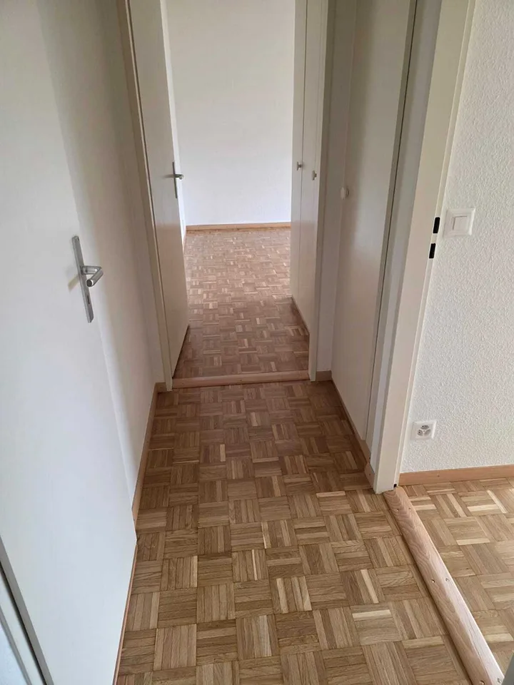 Carouge - 6 rooms on the 3rd floor