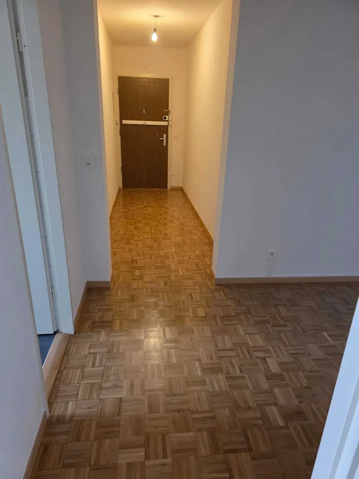 Carouge - 6 rooms on the 3rd floor