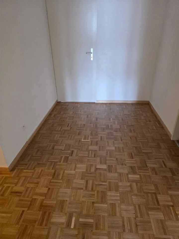 Carouge - 6 rooms on the 3rd floor