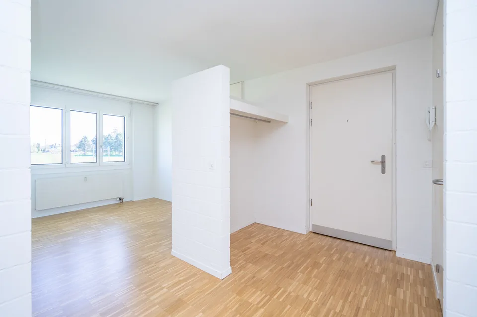 La tua nuova casa: appartamento 3.5 locali con molta luce & terrazza!