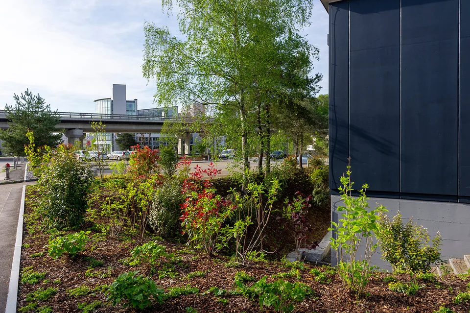 Kultur-Räume in Bülach Nord mit Industriecharme – Foto 6 von 7