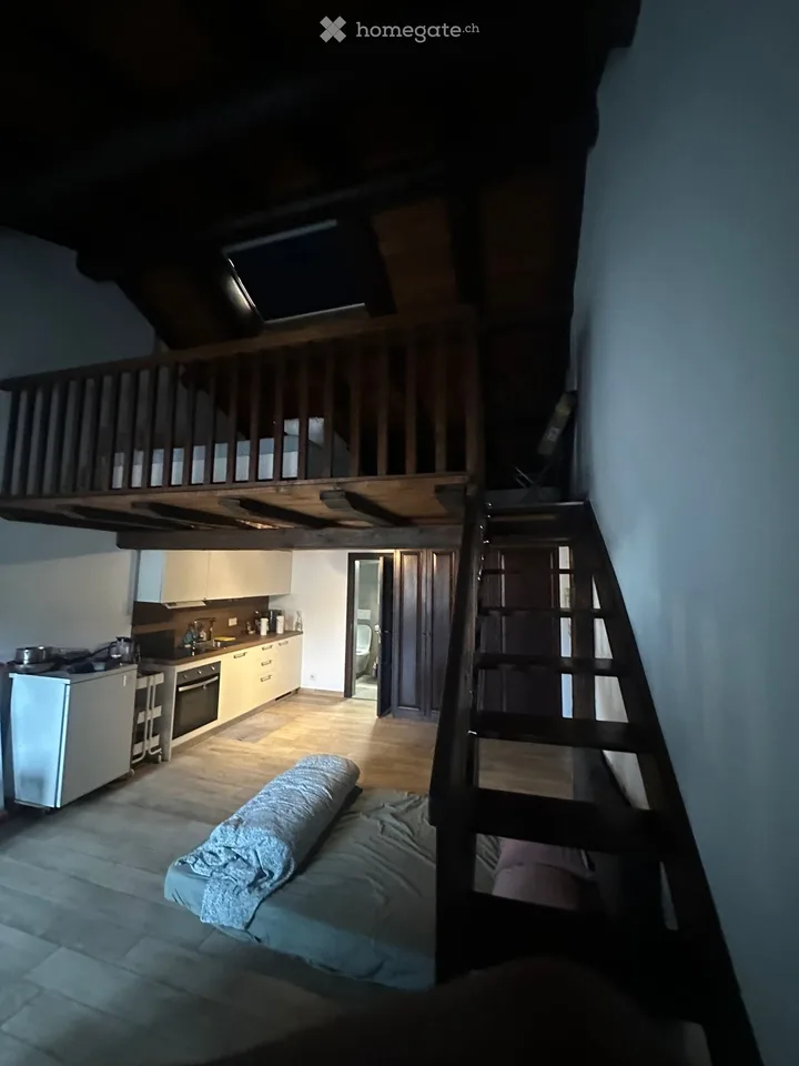 Duplex 55 m² avec vue sur le lac CHF 1000/mois