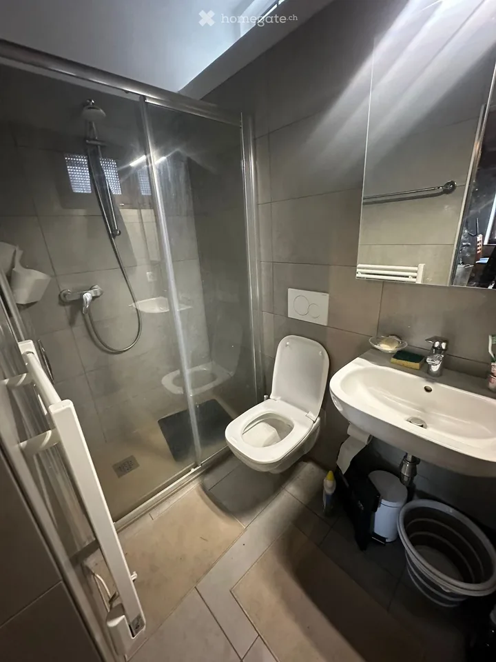 Duplex 55 m² avec vue sur le lac CHF 1000/mois
