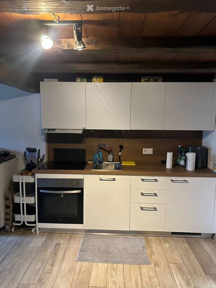 Duplex 55 m² con vista lago  CHF 1000/mese
