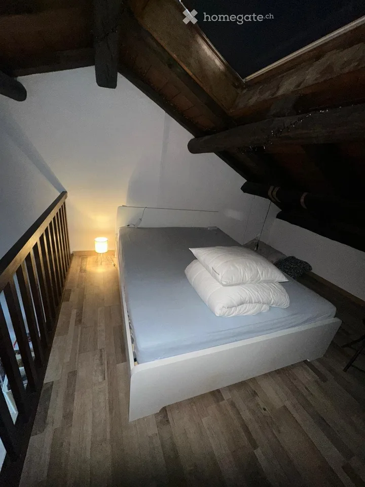 Duplex 55 m² avec vue sur le lac CHF 1000/mois