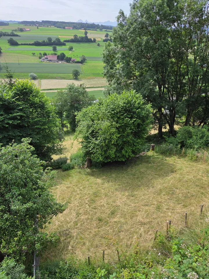 ROMONT - RTE DE L'EGLISE - BEZAUBERNDES GEBAEUDE MIT ABGETRENNTEN GRUNDSTUECK