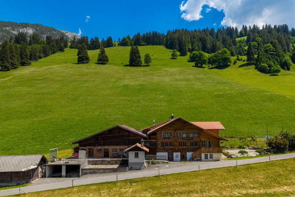 Mehrfamilien-Chalet mit 3 Wohnungen und idyllischer Bergsicht