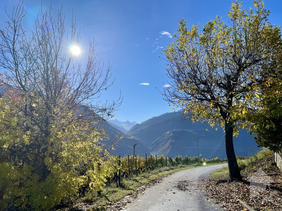 Promotion de 2 villas mitoyennes de 4.5 pces au calme, vue panoramique – photo 7 sur 9