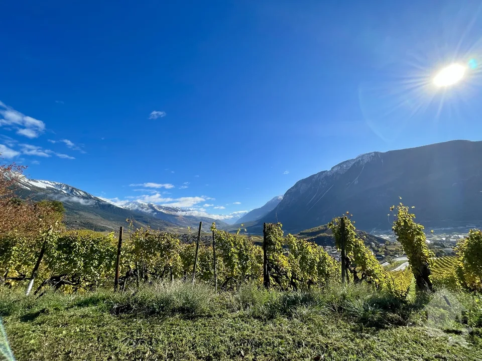Promotion de 2 villas mitoyennes de 4.5 pces au calme, vue panoramique – photo 8 sur 9