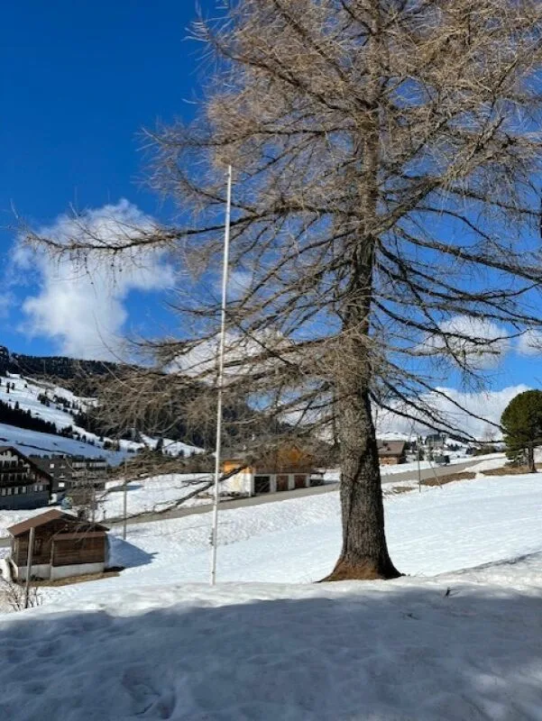 Schönes Chalet mit zwei Apartments in PPE – Foto 11 von 14