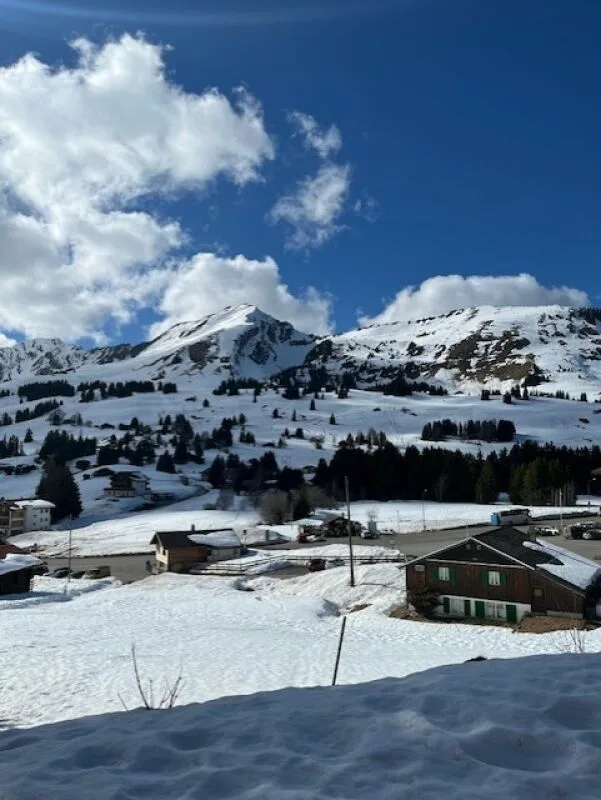 Schönes Chalet mit zwei Apartments in PPE – Foto 14 von 14