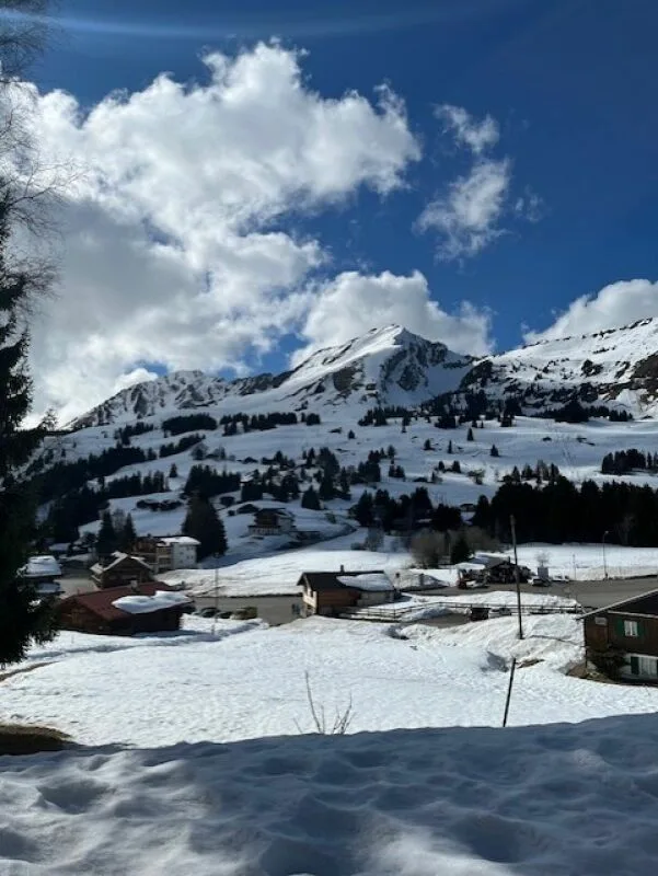 Schönes Chalet mit zwei Apartments in PPE
