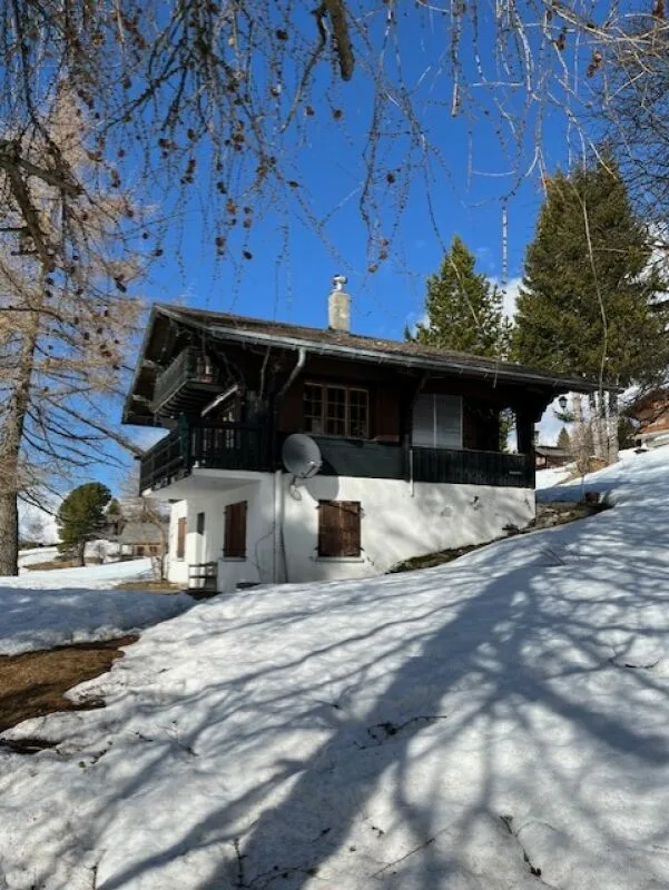 Joli chalet de deux appartements en PPE