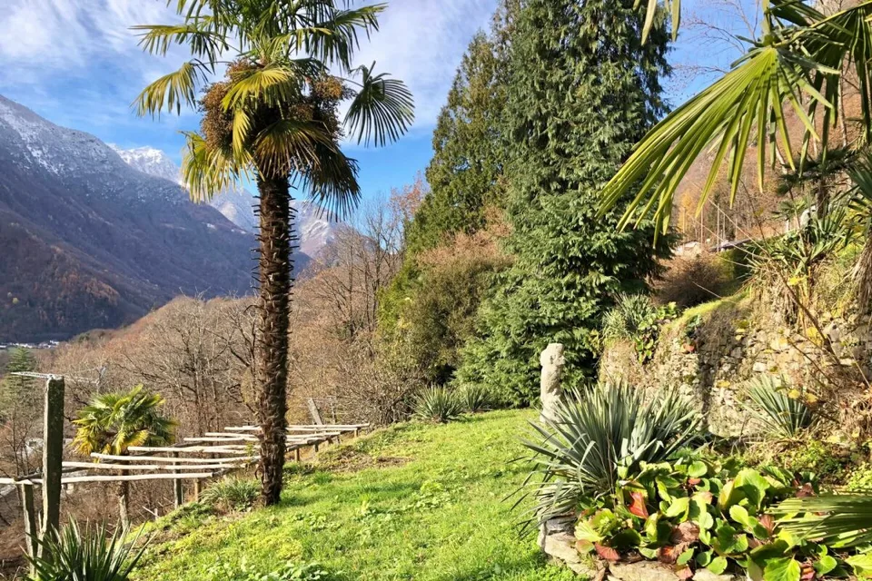 VENDUTO ! Casa ticinese con ampio giardino e rustico separato – foto 20 di 25