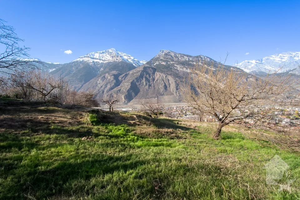 Grand terrain à construire dans le village de Saxon