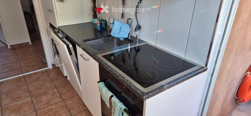 Trouvaille à Zürich-Wipkingen