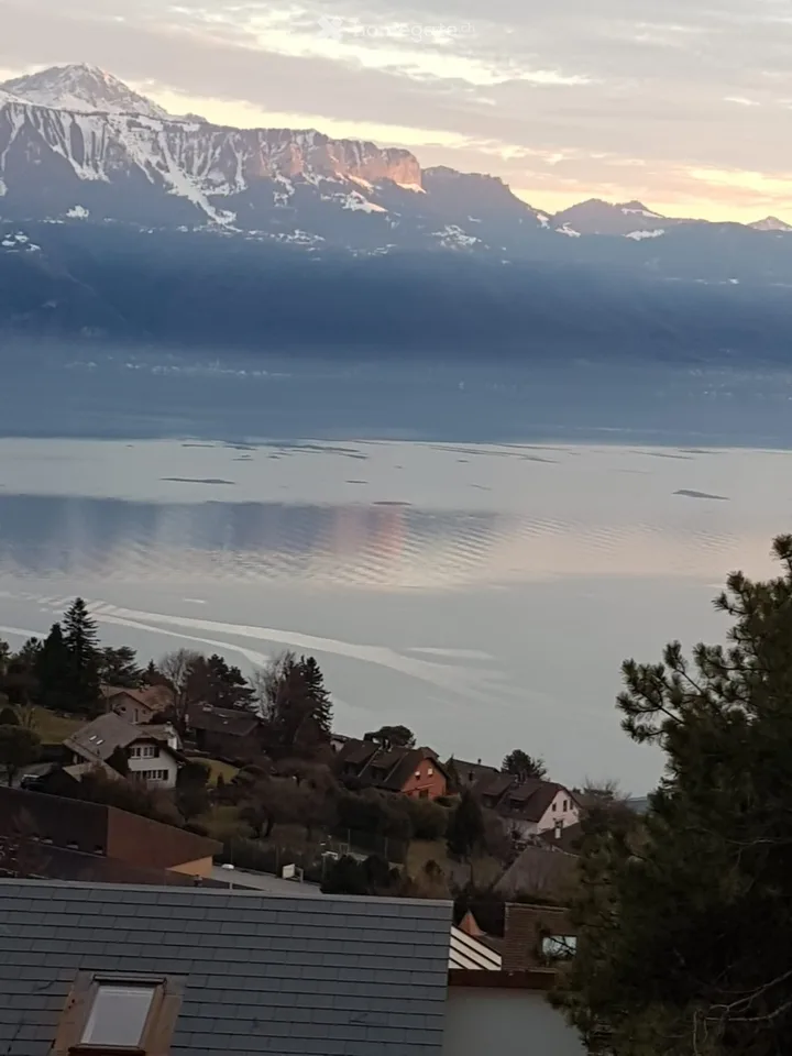 OFF Market Belle Maison avec vue panoramique -Lavaux