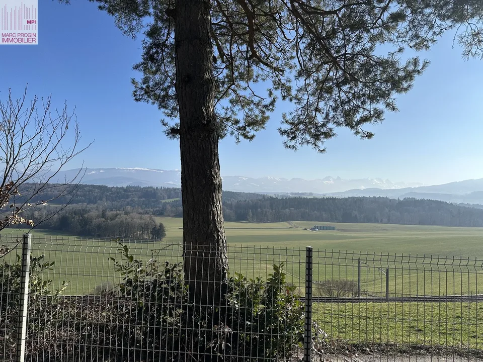 Abitazione di 2 locali completamente ristrutturata su un terreno di 1'287 m2