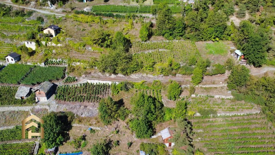 Ihr Rückzugsort zwischen Reben und Sonne  charmantes Rebland in Stald