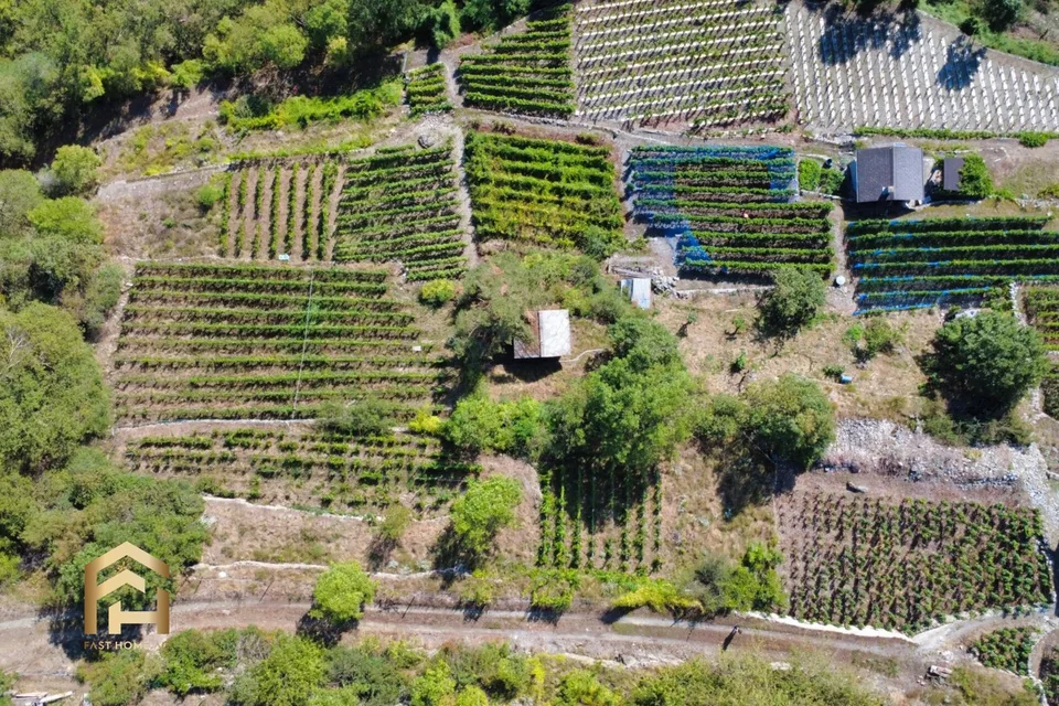 Your retreat between vines and sun - charming vineyard in Stald