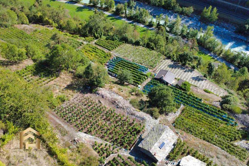 Your retreat between vines and sun - charming vineyard in Stald