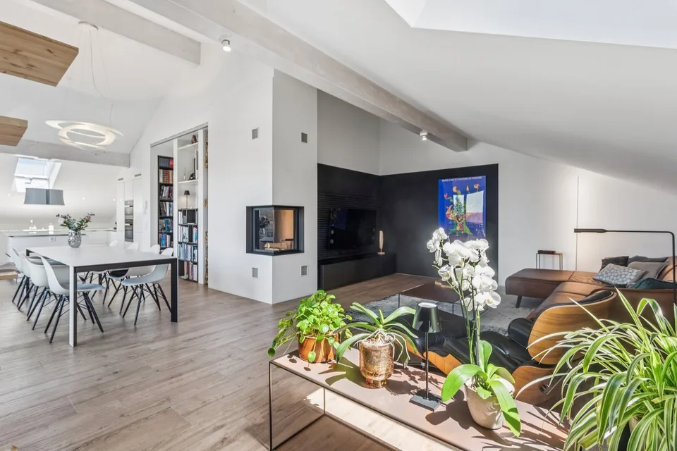 Magnifique appartement dans les combles
