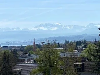4,5 Zimmer Maisonette - Attikawohnung in Thalwil mit 180° Seesicht und hohem Eigentumsstandard