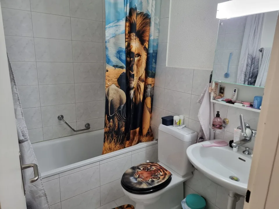 Appartement 2.5 pièces avec grand balcon – photo 6 sur 12