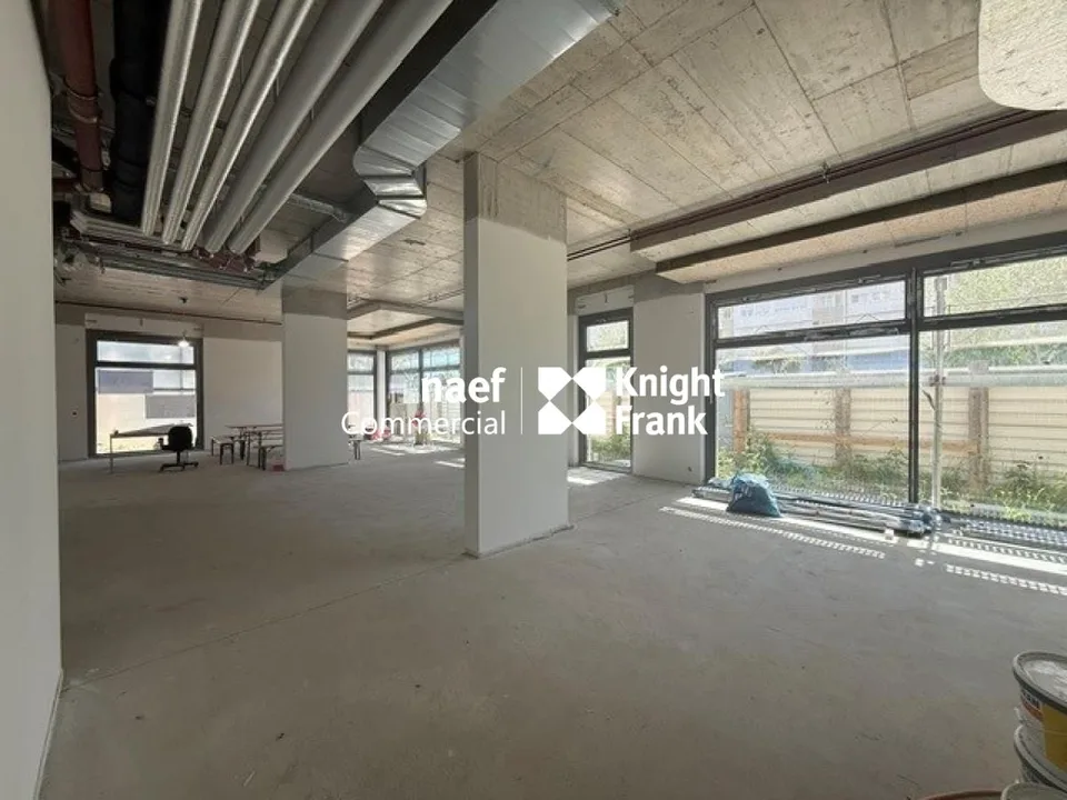 Arcade mit 382 m² zur Miete - Petit-Saconnex