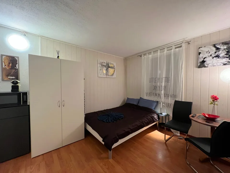 🏡 Cozy Furnished Studio Apartment in Wallisellen – Available from 1st sep 2026
