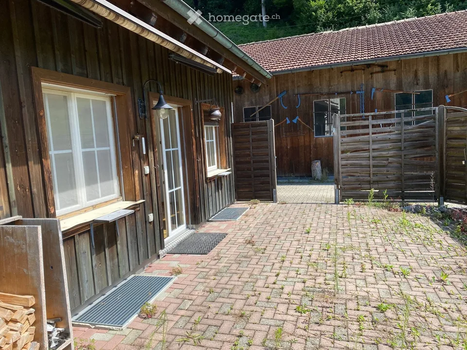 Appartamento di 2 camere sul Sihl
