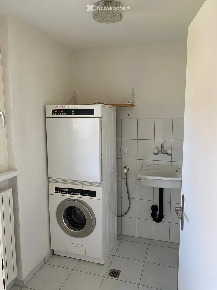 Appartamento di 2 camere sul Sihl