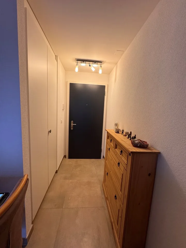 Charming 1.5-room apartment for rent