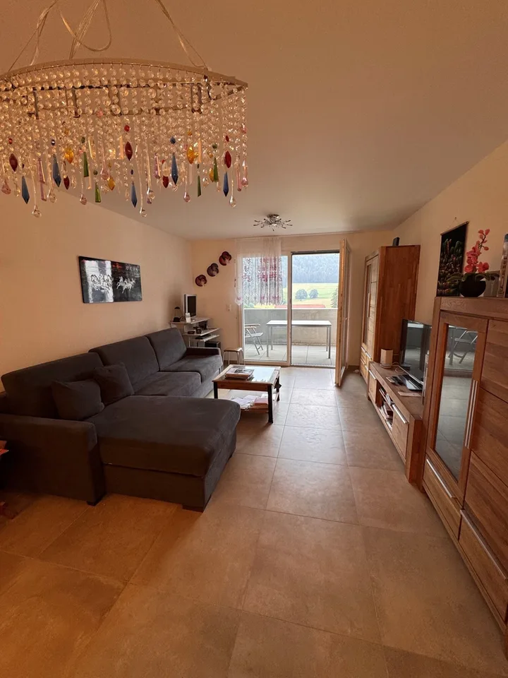 Charming 1.5-room apartment for rent