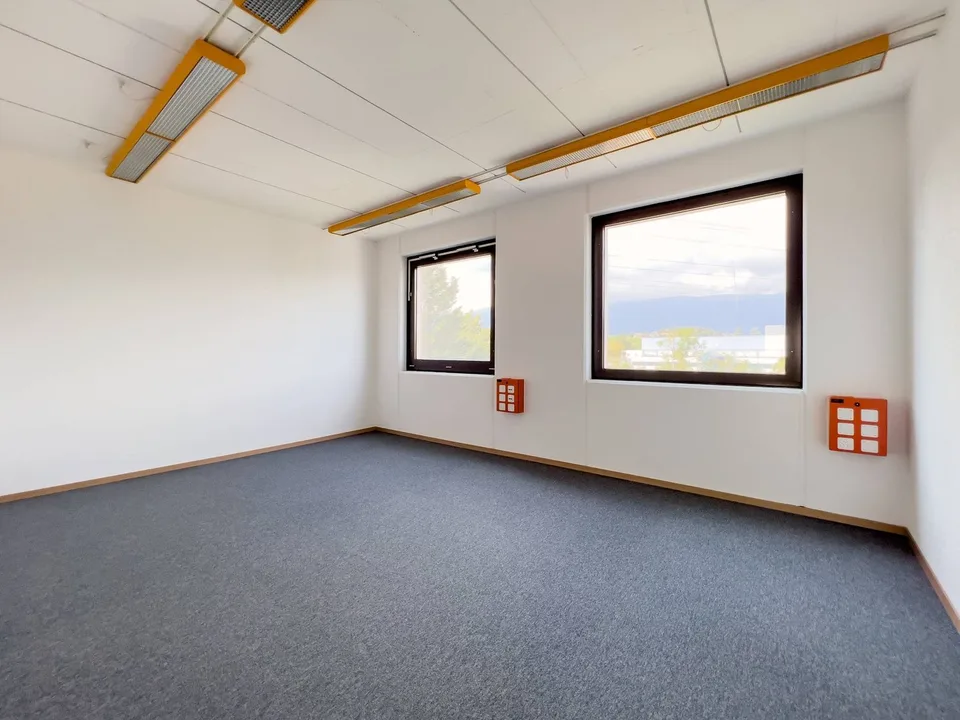 Laboratorio, produzione, atelier di 420 m2 in affitto a Satigny