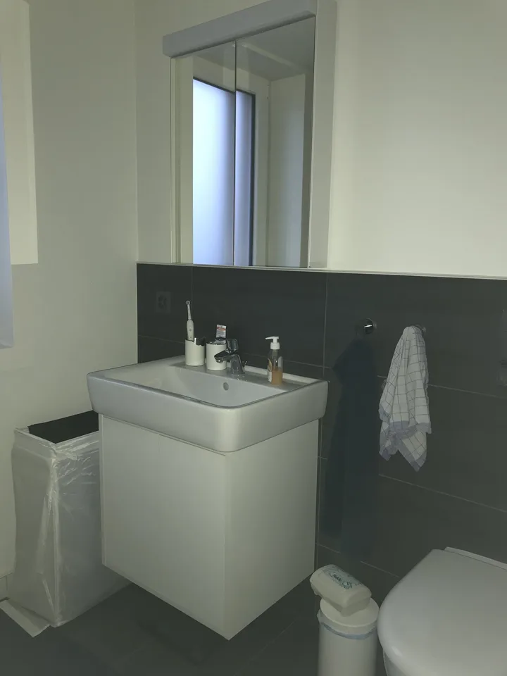 3½ ZIMMER-DACHWOHNUNG IN KERZERS (FR), MÖBLIERT, TEMPORÄR