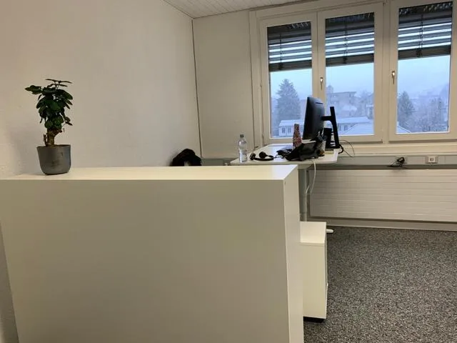 Gewerbe in Lachen